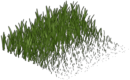 Spring Grass Carpet Edge