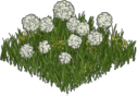 Spring Flower Carpet 2