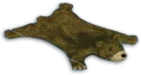 Bear Rug