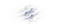 PPR Water Carpet 1