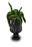 Decaying Plant