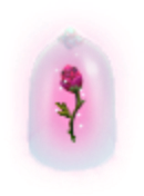 Beauty and the Beast Rose