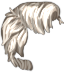 Wild West Hairstyle