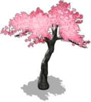 Cherry Blossom Tree