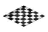 Finish Line Carpet