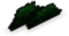 PPR Tiny Bush