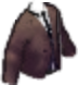 Haunted Mansion Jacket Brown