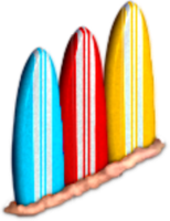 Teen Beach Movie Surfboard Divider