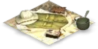 Explorer's Carpet