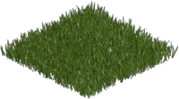 Spring Grass Carpet Large