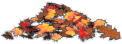 Fall Leaves Carpet Corner