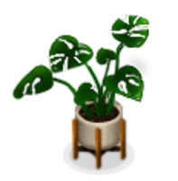 Potted Plant - Monstera
