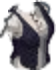 Pirate Jacket With Vest