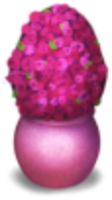 Isabela's Potted Flowers