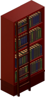 Dr. Doppler's Study Bookcase with Ladder