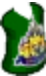 Disneyland Tank Dark Green
