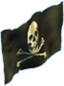 Jolly Roger Flag