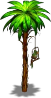 Parrot Palm Tree