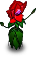 ALR Flower Red