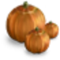 Small Pumpkin Bunch