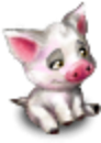 Moana - Pua