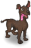 Coco - Dante