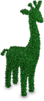 IASW Topiary Giraffe