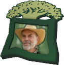 Joe Rohde