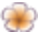 Aloha Flower Clip Orange