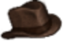 Indiana Jones Hat