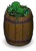 Barrel of Succulents