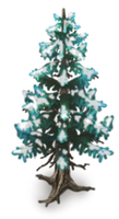 Spruce Tree