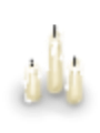 Candle Trio