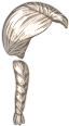 Jessie's Braid Hairstyle