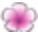 Aloha Flower Clip Pink