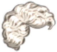 Short Wet Curls Hairstyle