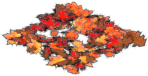 Fall Leaves Carpet Small
