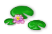 Lily Pads
