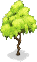 Bayou Tree