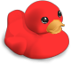 Cruise Duck - Red