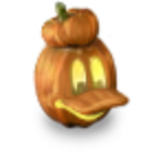 Pumpkin - Donald