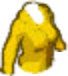 Jacket Yellow