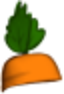 Carrot Hat