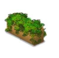 Ivy Planter