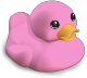 Cruise Duck - Pink