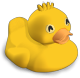 Cruise Duck - Ducky Momo