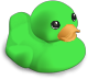 Cruise Duck - Green