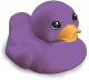 Cruise Duck - Purple