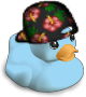 Cruise Duck - Aloha